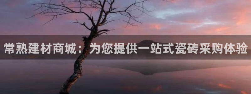 杏鑫官方平台怎么样