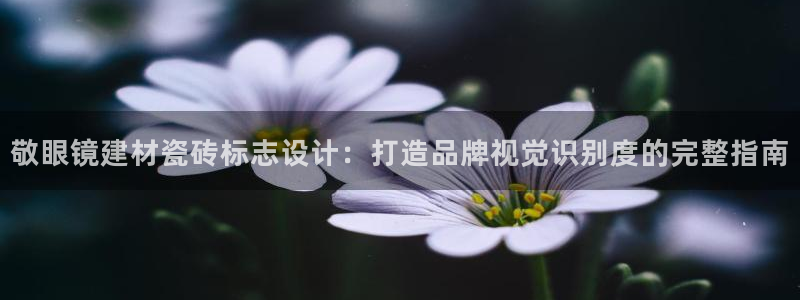 杏鑫平台野马联盟怎么样