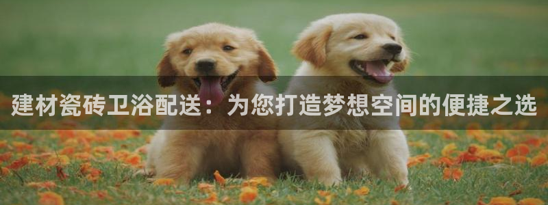 杏鑫平台直属哪个公司