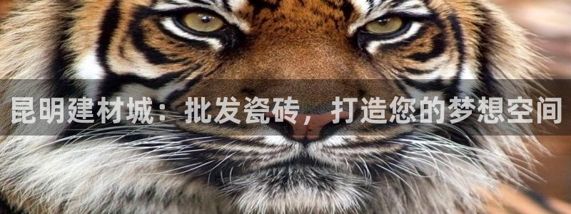 杏鑫平台是黑平台吗是真的吗