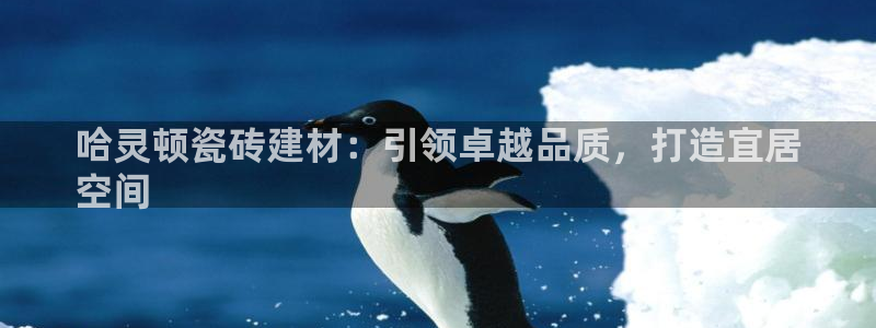 杏鑫平台平台娱乐