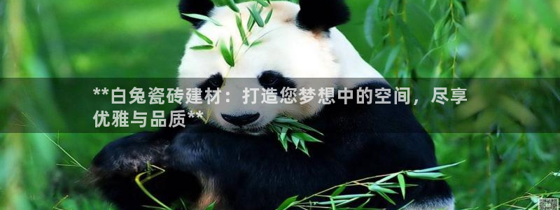 杏鑫平台怎么样