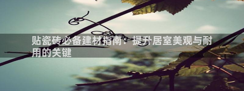 杏鑫平台怎么样黑钱吗是真的吗还是假的