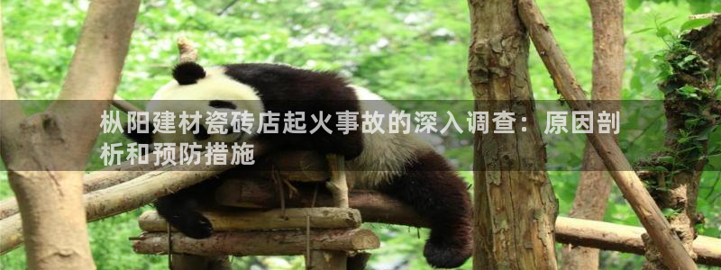 杏鑫平台怎么样
