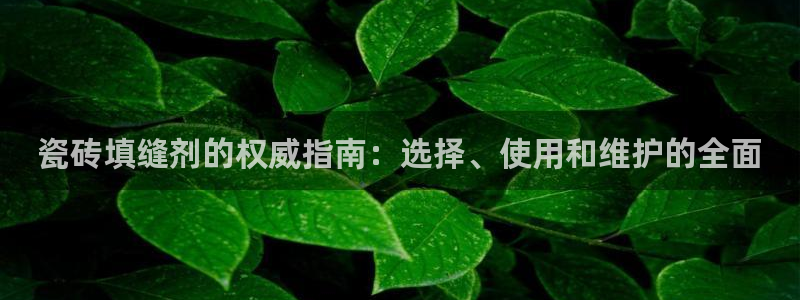 杏鑫平台代理怎么样赚钱