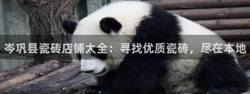 杏鑫登录注册测速