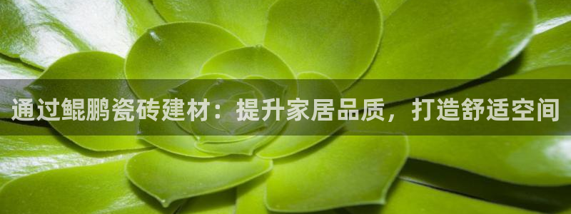 杏鑫娱乐怎么样