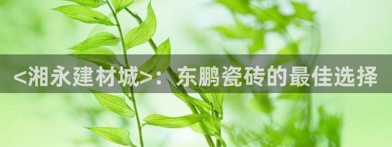 杏鑫平台代理怎么样