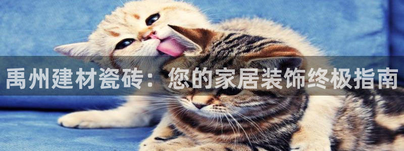 杏鑫注册平台官方网站下载