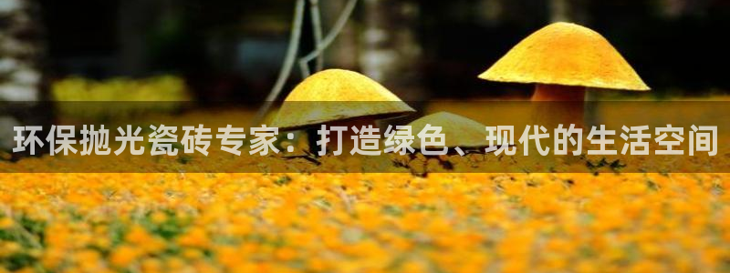 杏鑫平台注册入口在哪