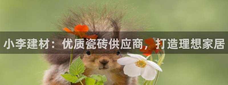 杏鑫平台正规吗