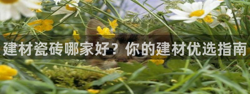杏鑫注册登录代理