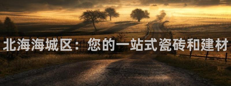 杏鑫娱乐平台测速怎么样
