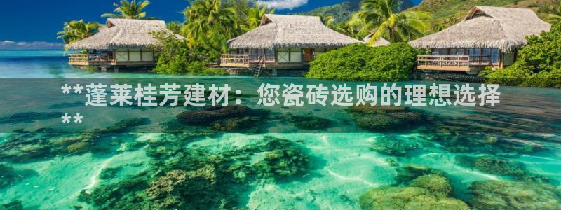 杏鑫官方平台怎么样