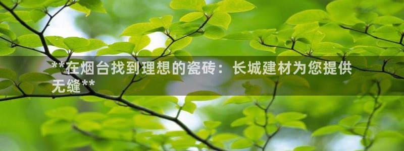 杏鑫平台代理
