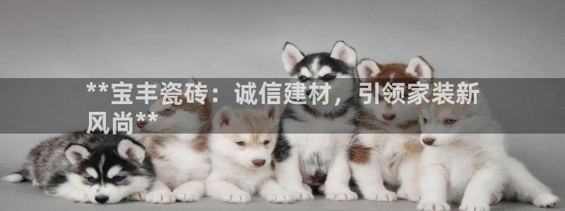 杏鑫平台登录地址查询
