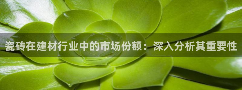 杏鑫娱乐平台登录