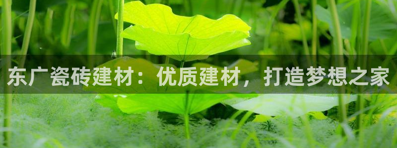 杏鑫注册平台官方网站入口