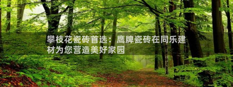 杏鑫平台登录注册