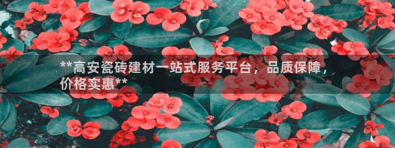 杏鑫平台代理注册多少钱一年