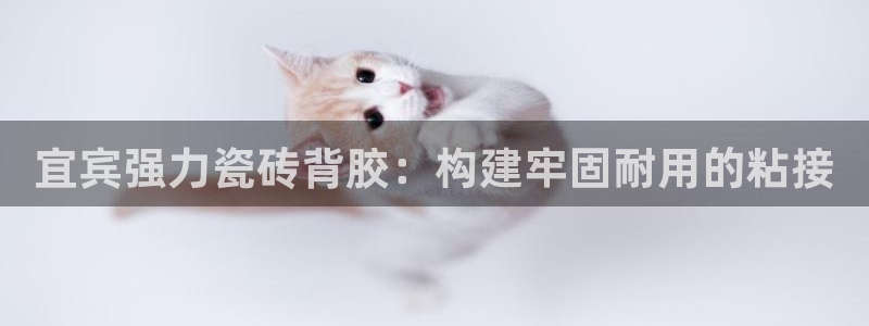 杏鑫平台官方网站