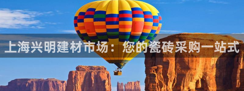 杏鑫平台代理怎么做的