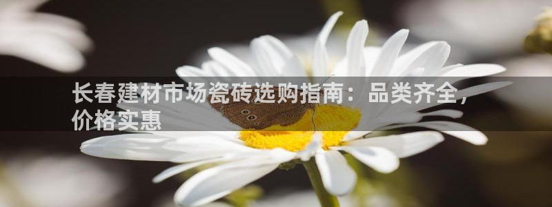 杏鑫平台代理注册登录不了怎么办呀