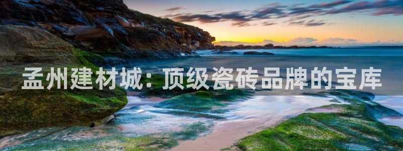 杏鑫注册登录