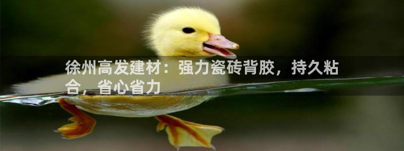 杏鑫娱乐官方网站客户端下载