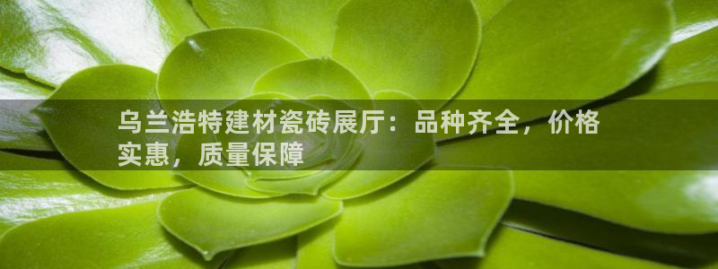 杏鑫娱乐官方网站客户端