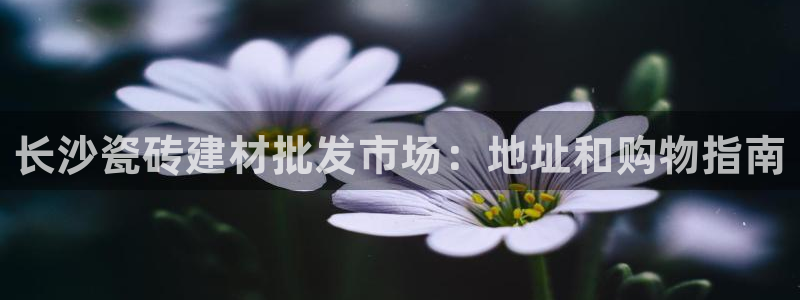 杏鑫官网最新信息新闻