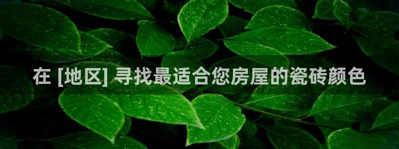 杏鑫平台招商