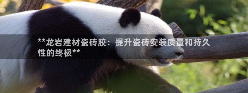 杏鑫娱乐是合法的吗?