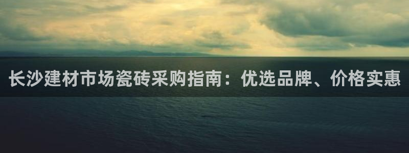 杏鑫官网最新信息