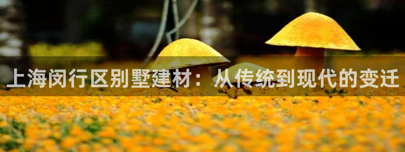杏鑫平台怎么样黑钱吗安全吗