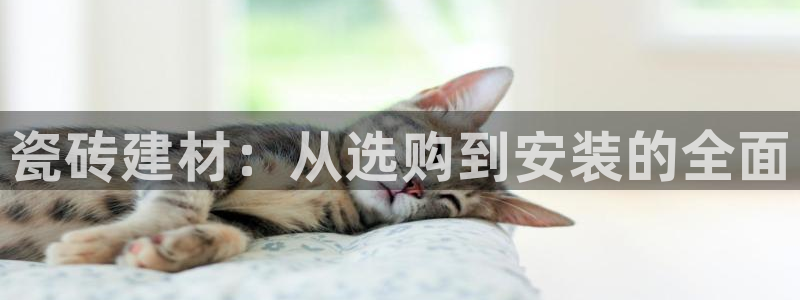 杏鑫平台广7O777