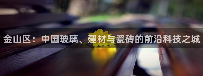 杏鑫平台直属