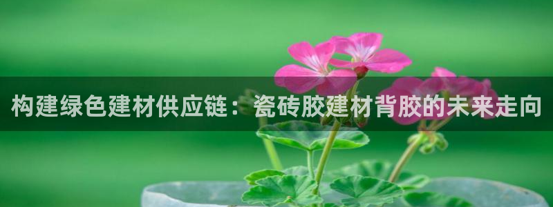 杏鑫平台是黑平台吗知乎