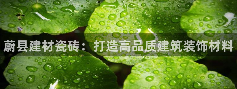杏鑫注册登录