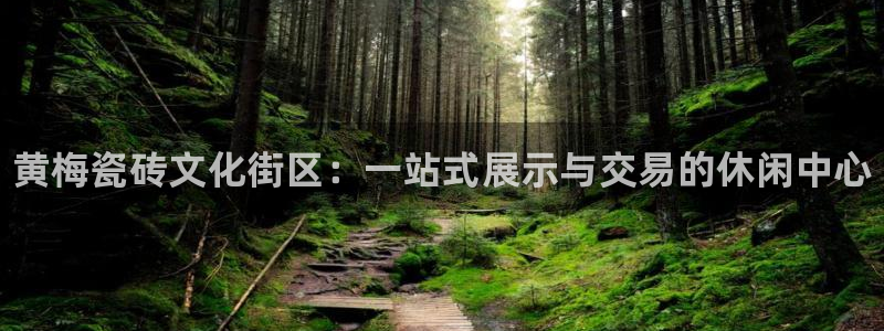 杏鑫平台代理注册流程及费用