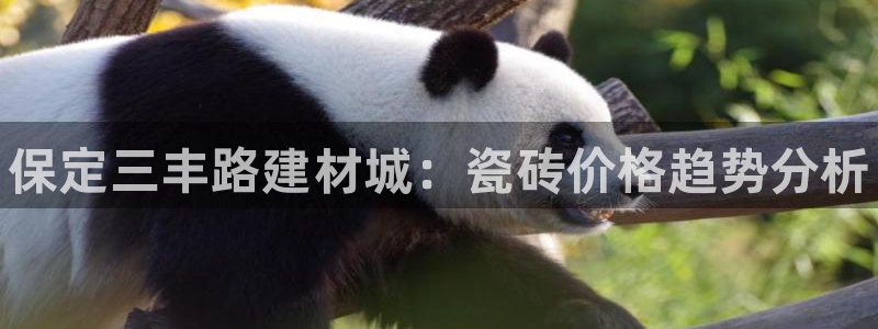 杏鑫娱乐多少年了