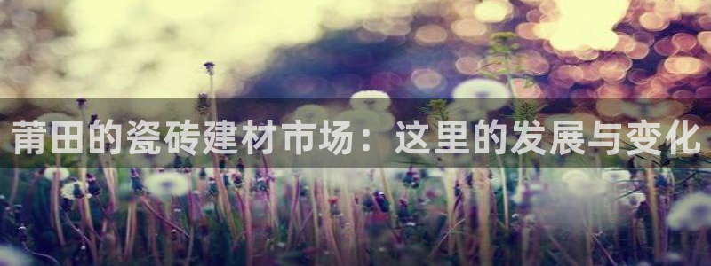 杏鑫平台登录地址