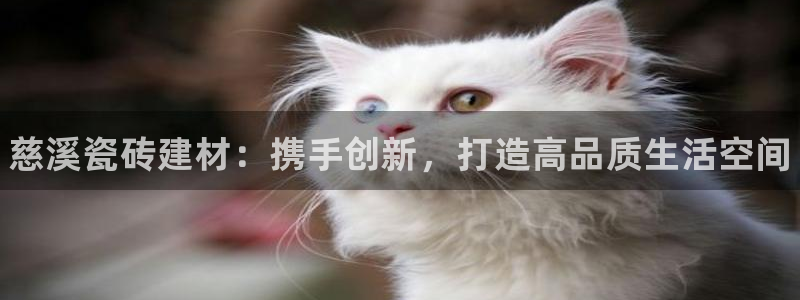 杏鑫官方平台怎么样啊知乎