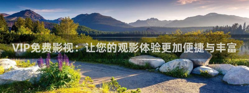 即看影视官网版：VIP免费影视：让您的观影体验更加便捷与丰富