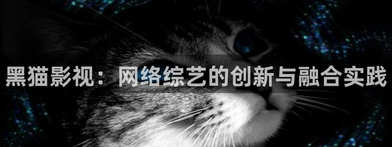 即看影视电脑版：黑猫影视：网络综艺的创新与融合实践