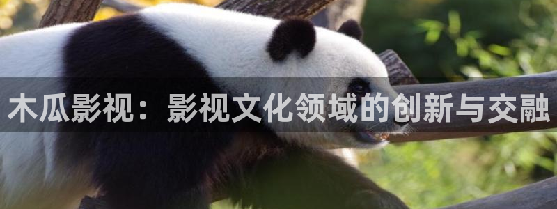 即看影视剧免费观看：木瓜影视：影视文化领域的创新与交融