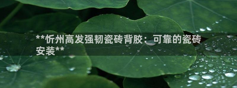 杏鑫娱乐平台登录