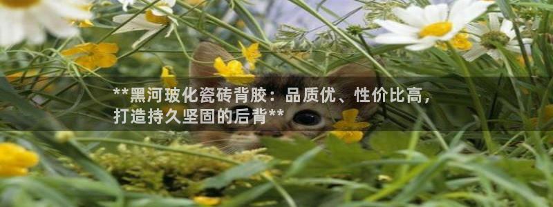 杏鑫平台代理注册多少钱啊