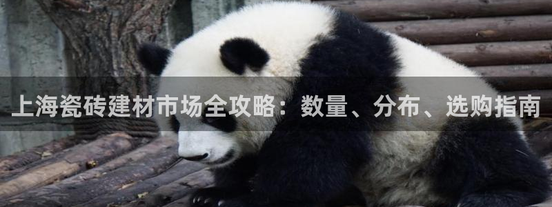 杏鑫注册登录地址