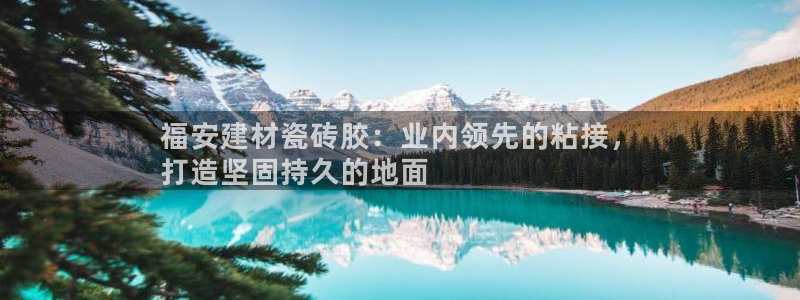 杏鑫平台代理注册多少钱一年